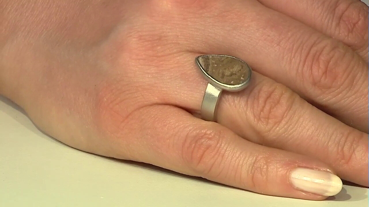 Letzte TV-Show ansehen