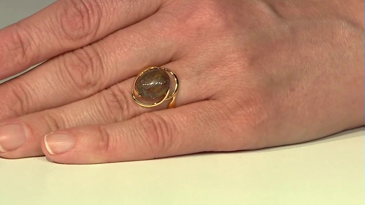 Video Zilveren ring met een Versteend hout (dagen)