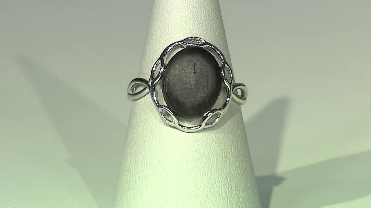 Video Black Oak Silver Ring (dagen)