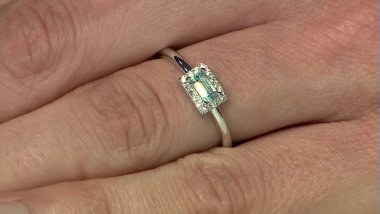 Letzte TV-Show ansehen