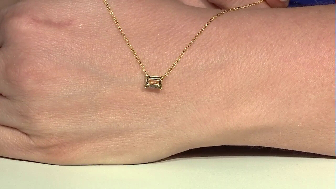 Video Citrin-Silbercollier