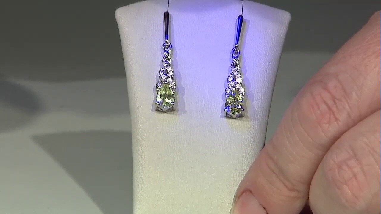 Video Merelani Mint Garnet Silver Earrings