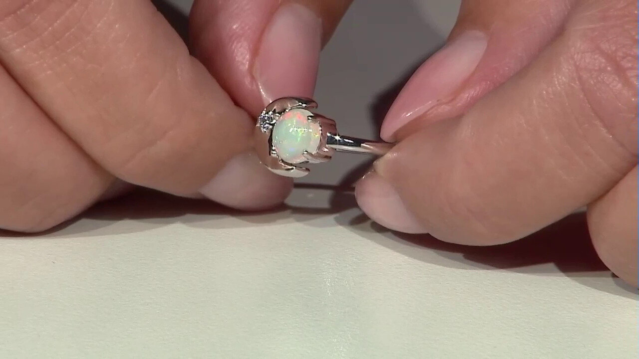 Ver última TV oferta