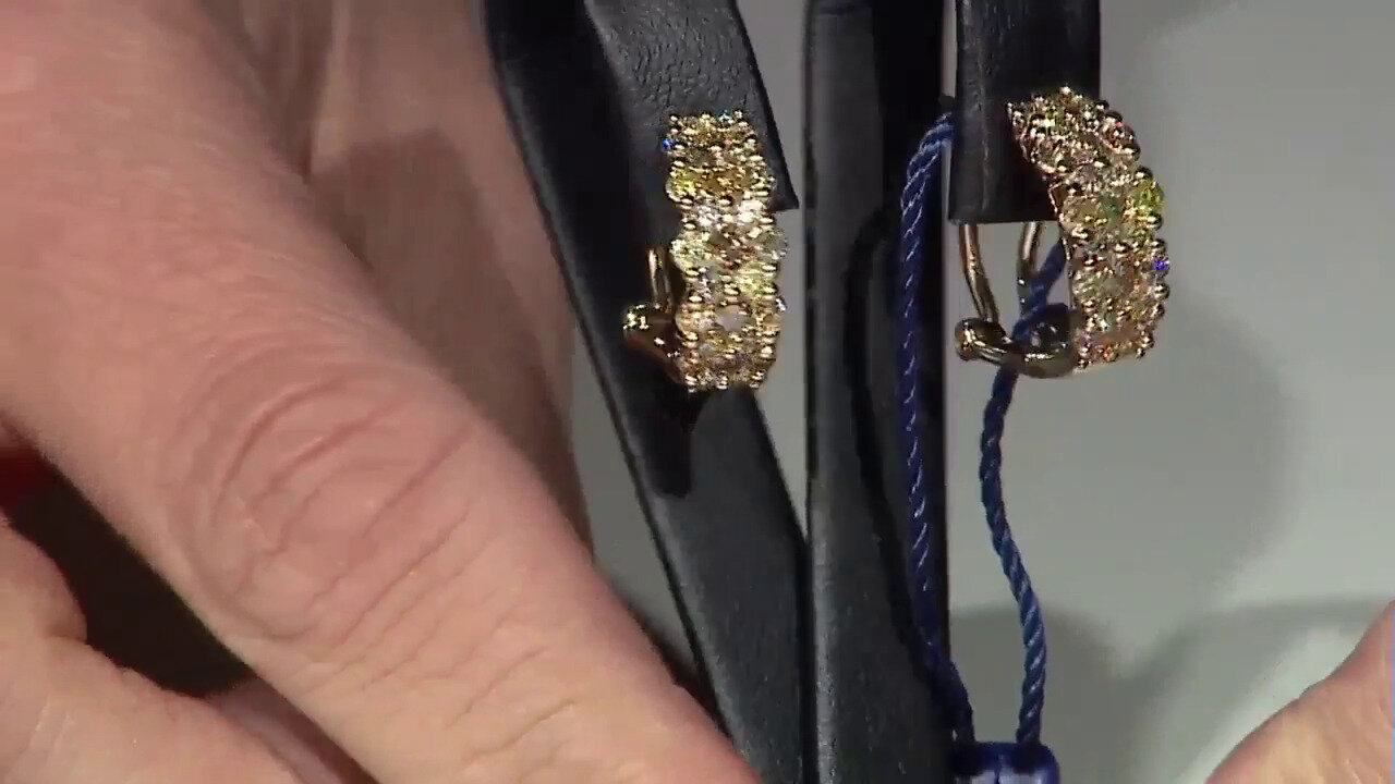 Video 14K SI2 Fancy Diamond Gold Earrings (CIRARI)