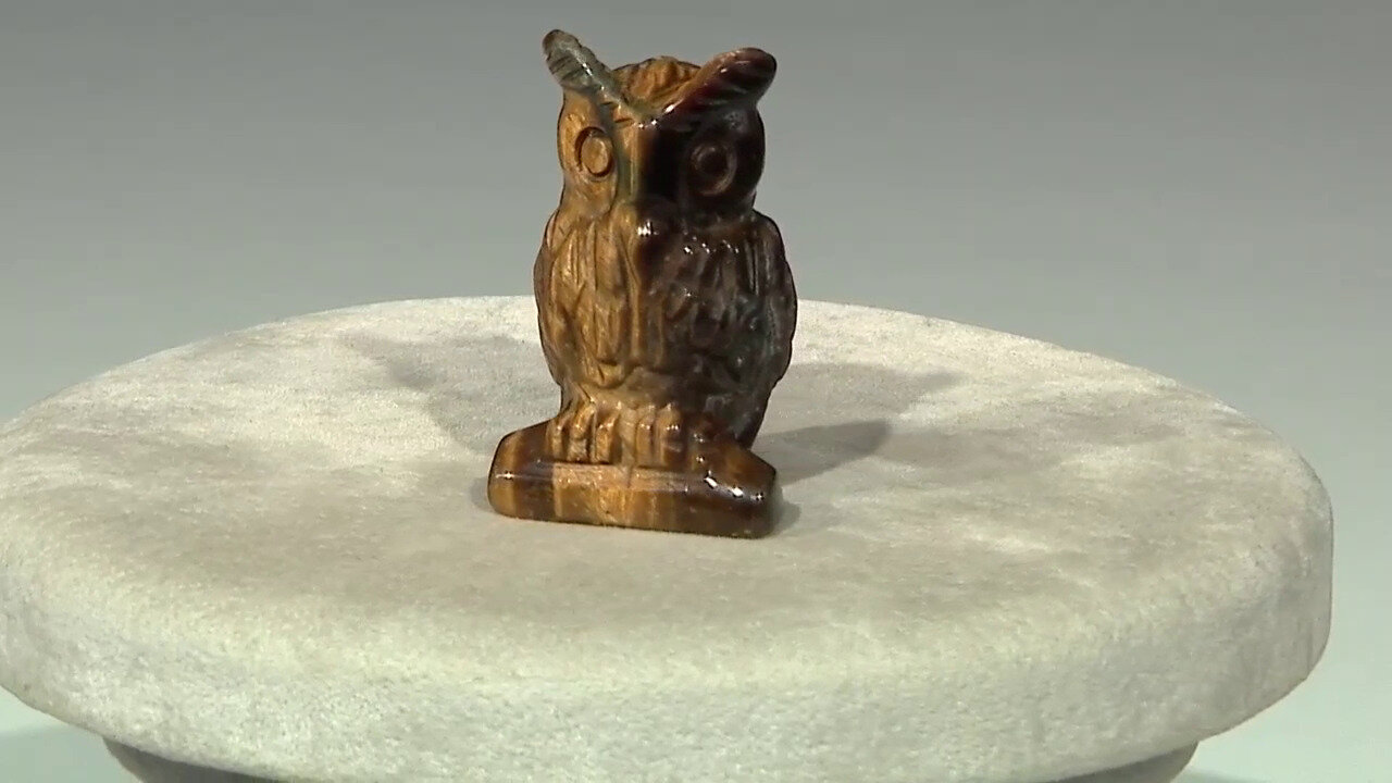 Video Figure with Tiger´s Eye