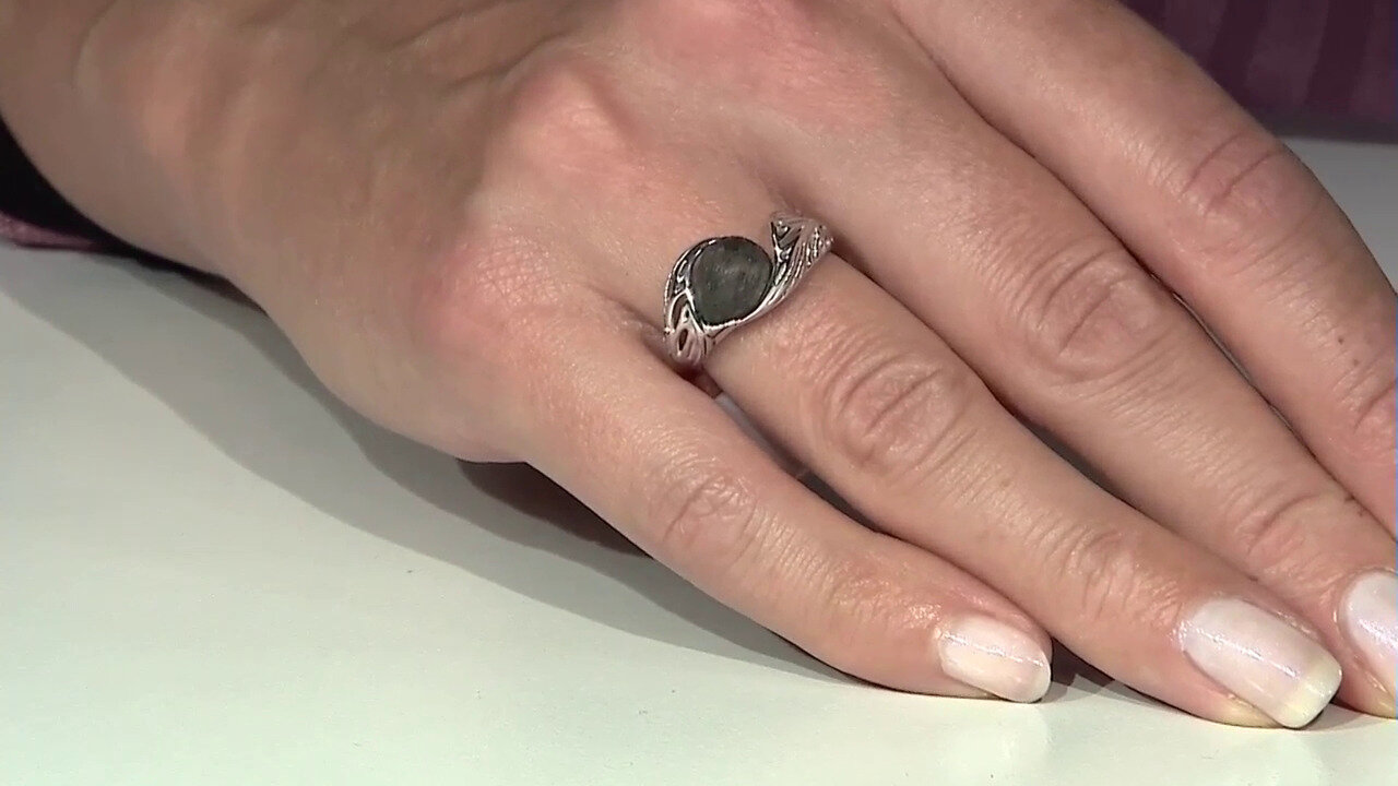 Video Zilveren ring met een Veeneik (dagen)