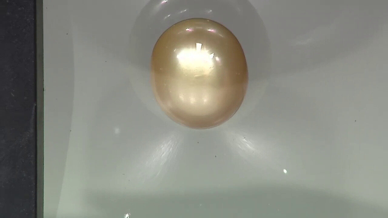 Video Piedra preciosa con Perla dorada del Mar del Sur Kabira  (TPC)