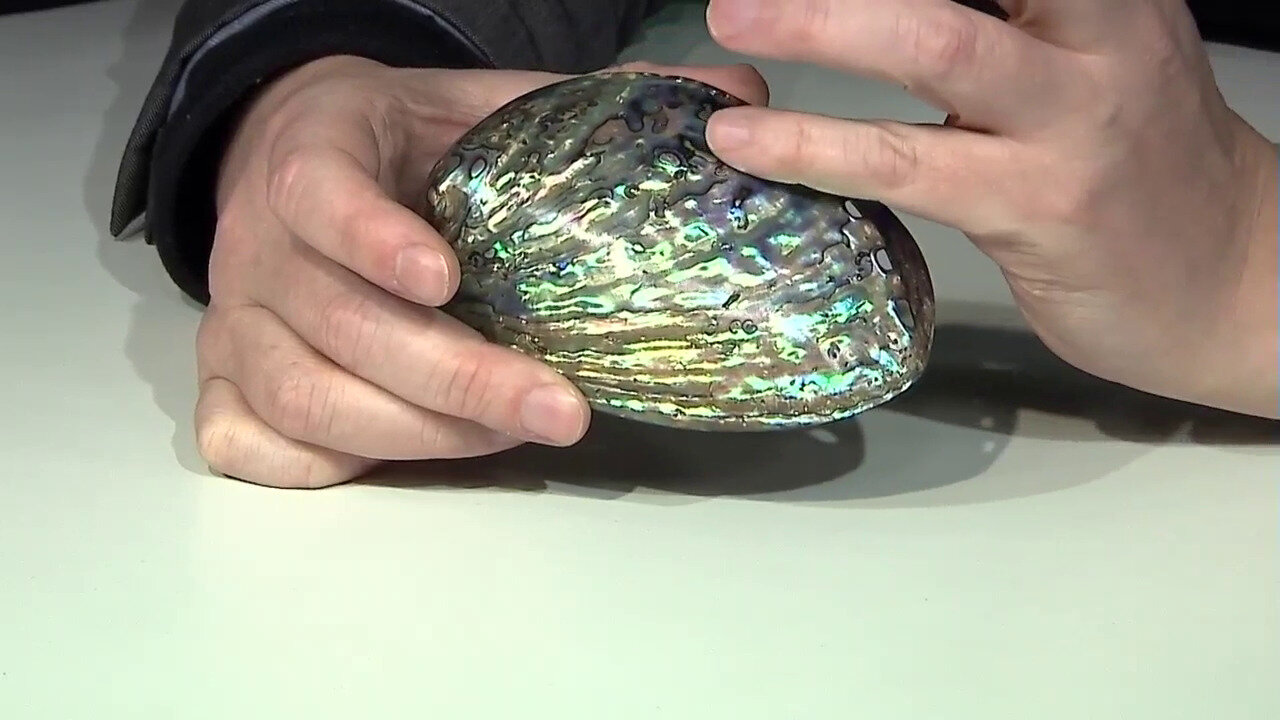 Video Accessory with Abalone Shell