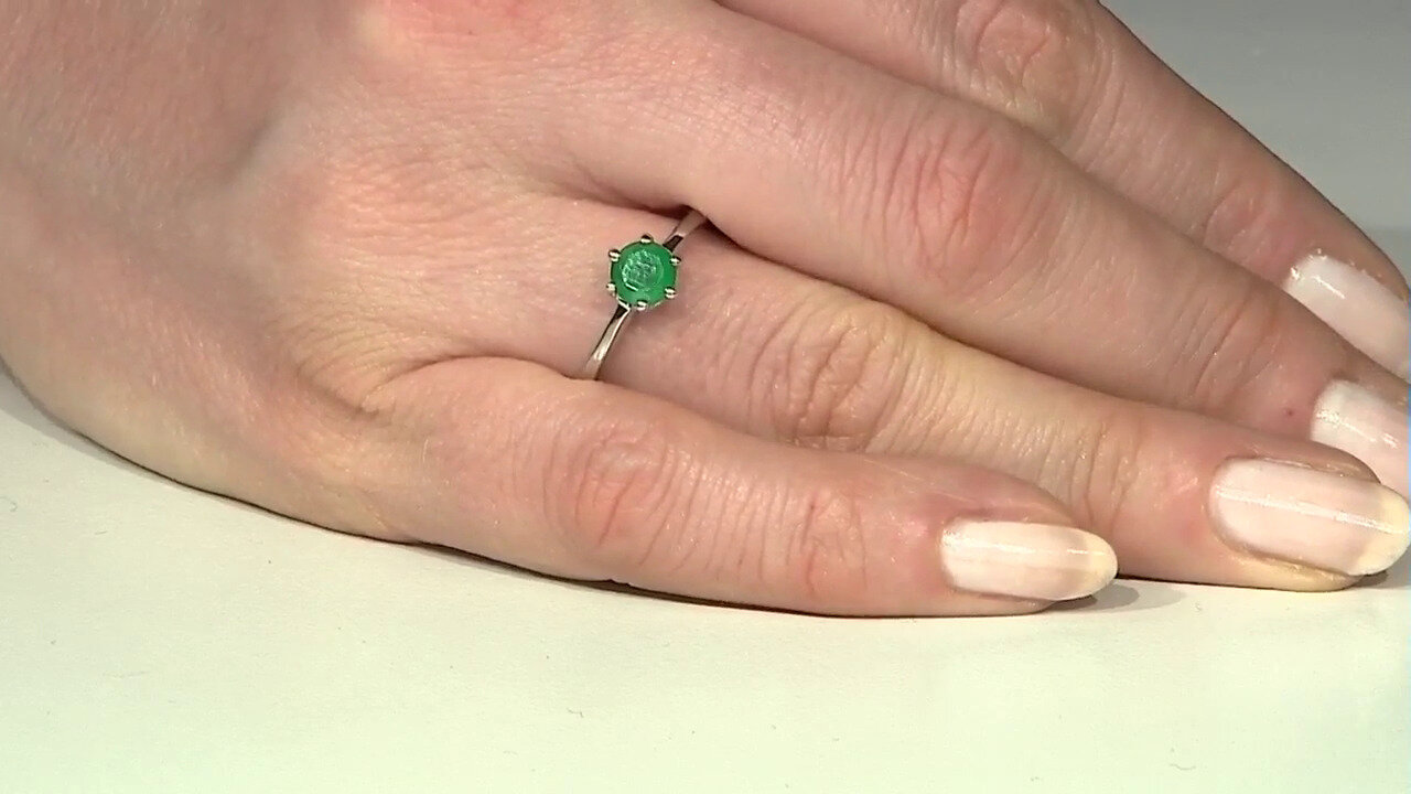 Letzte TV-Show ansehen