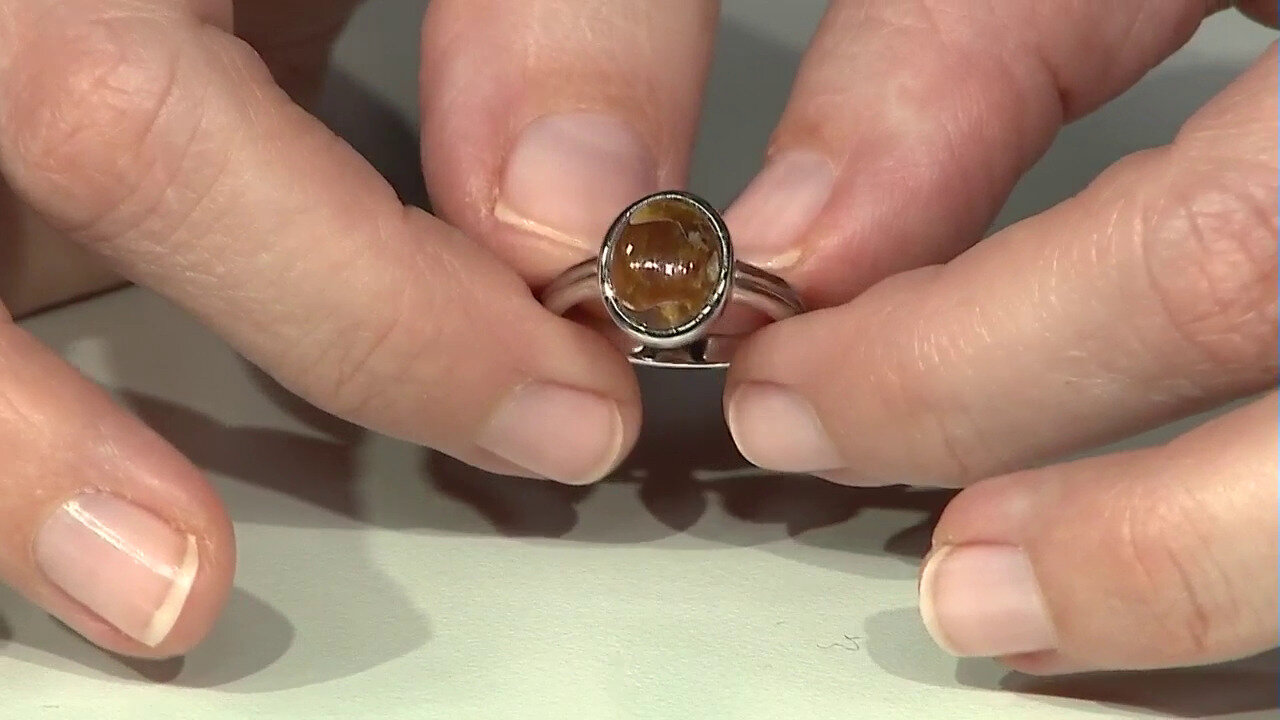 Video Ammonit-Silberring