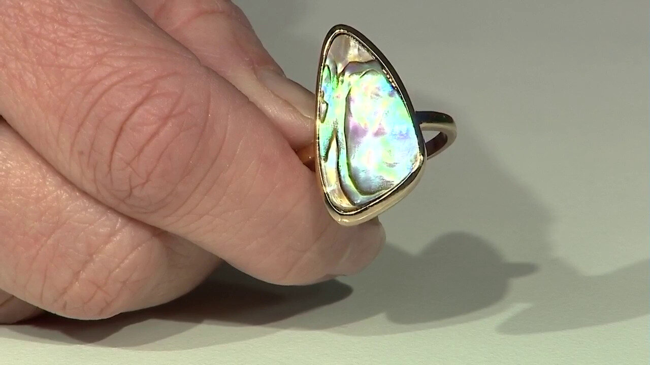 Video Zilveren ring met een Abalone schelp