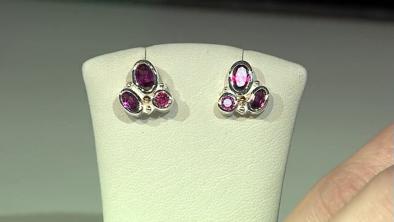 Letzte TV-Show ansehen