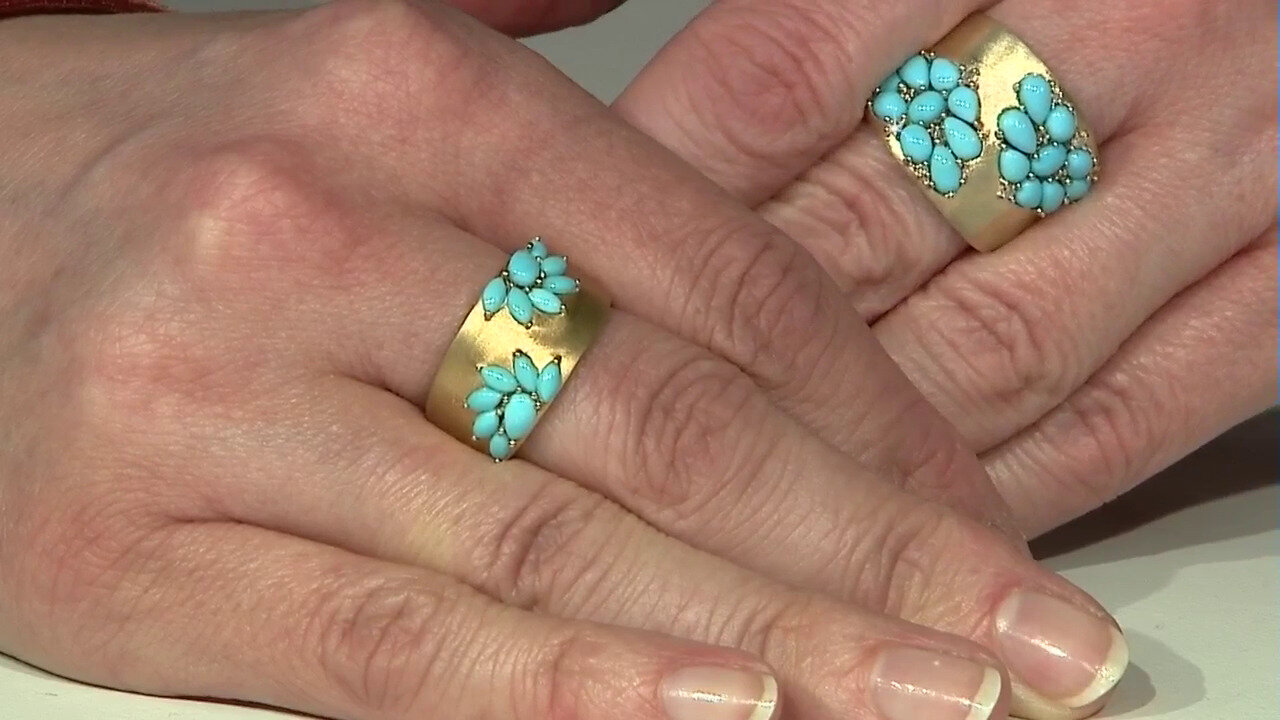 Letzte TV-Show ansehen