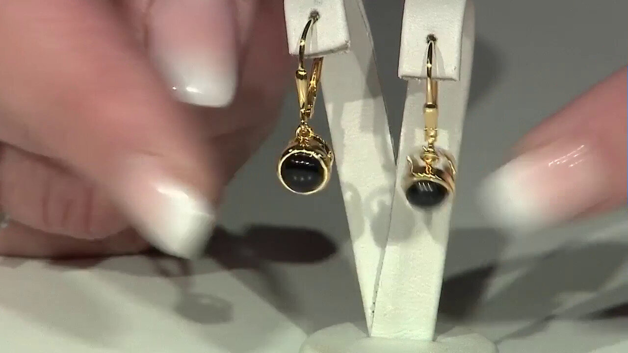 Video Black Onyx Silver Earrings