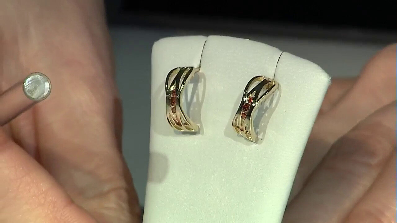 Video Zilveren oorbellen met I2 Rode Diamanten