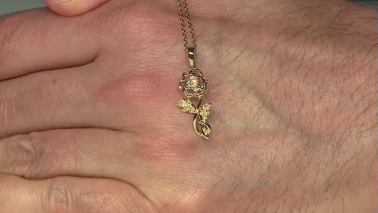 Video Gouden halsketting met een I1 (H) Diamant (Smithsonian)