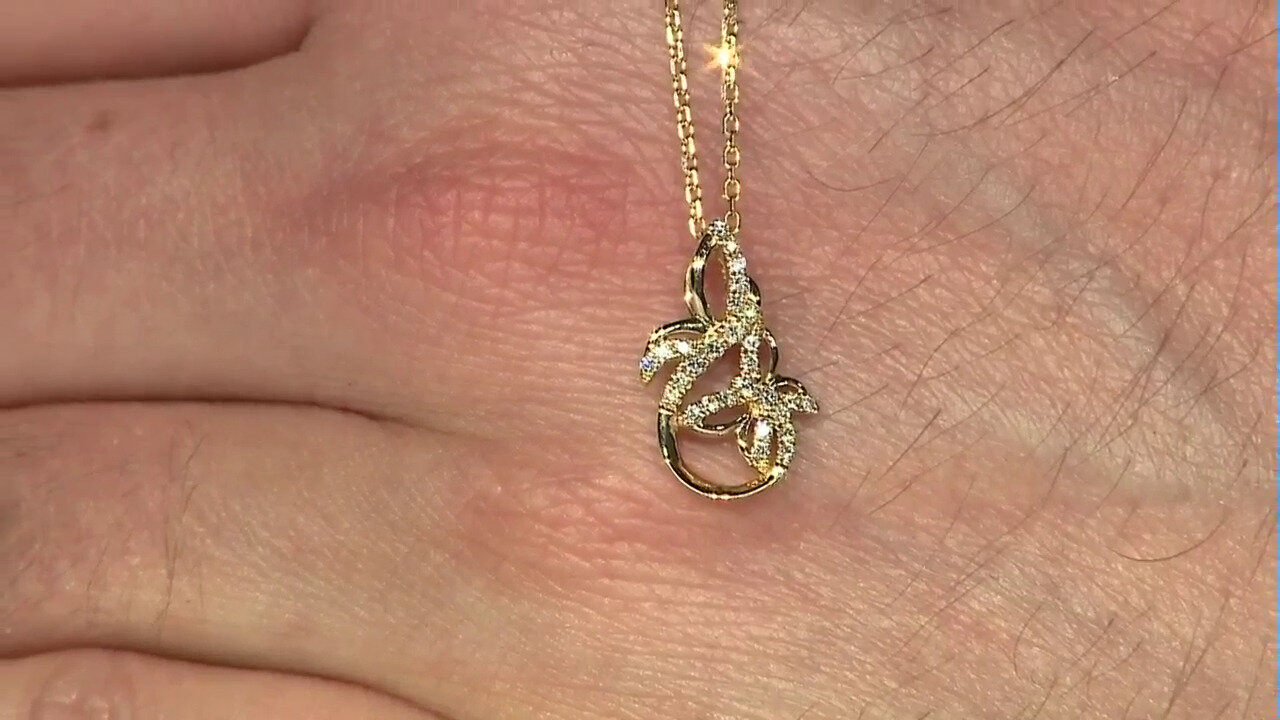 Video Gouden halsketting met SI2 (H) Diamanten (Smithsonian)