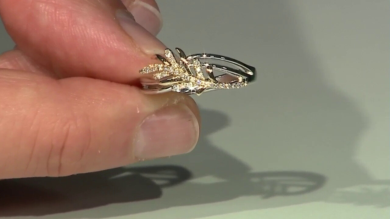 Video I1 (H) Diamond Silver Ring (Smithsonian)