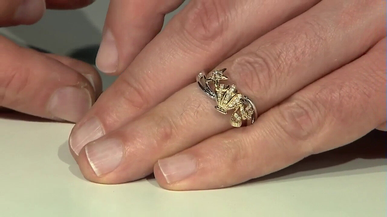 Video Zilveren ring met I1 (H) Diamanten (Smithsonian)