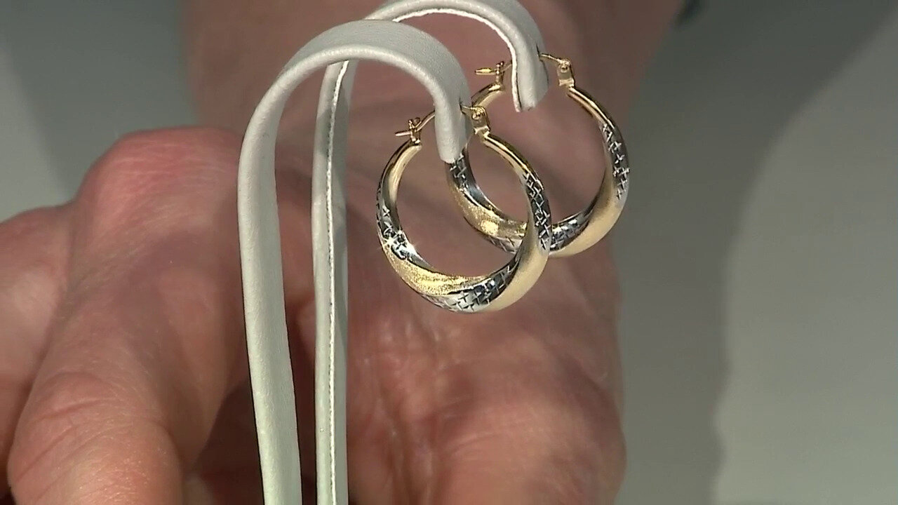 Video 9K Gold Earrings
