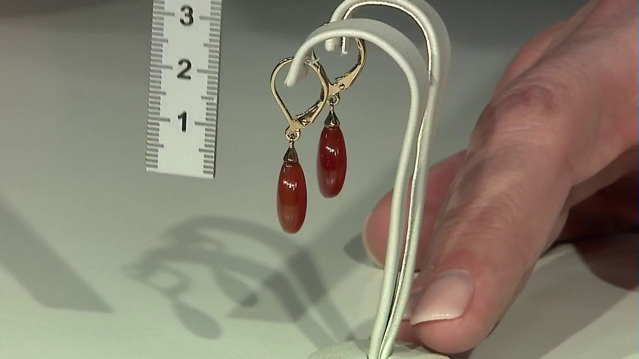 Video Red Agate Silver Earrings