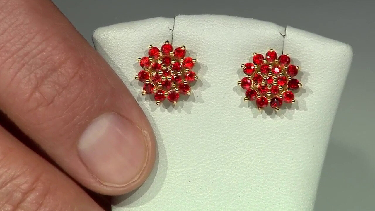 Video Tanzanian Ruby Silver Earrings