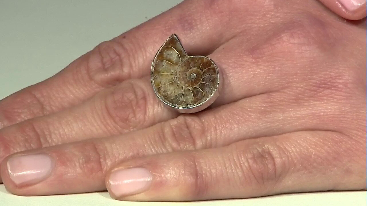 Video Zilveren ring met een ammoniet