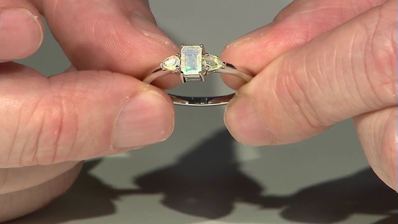 Laatste live aanbiedingen bekijken