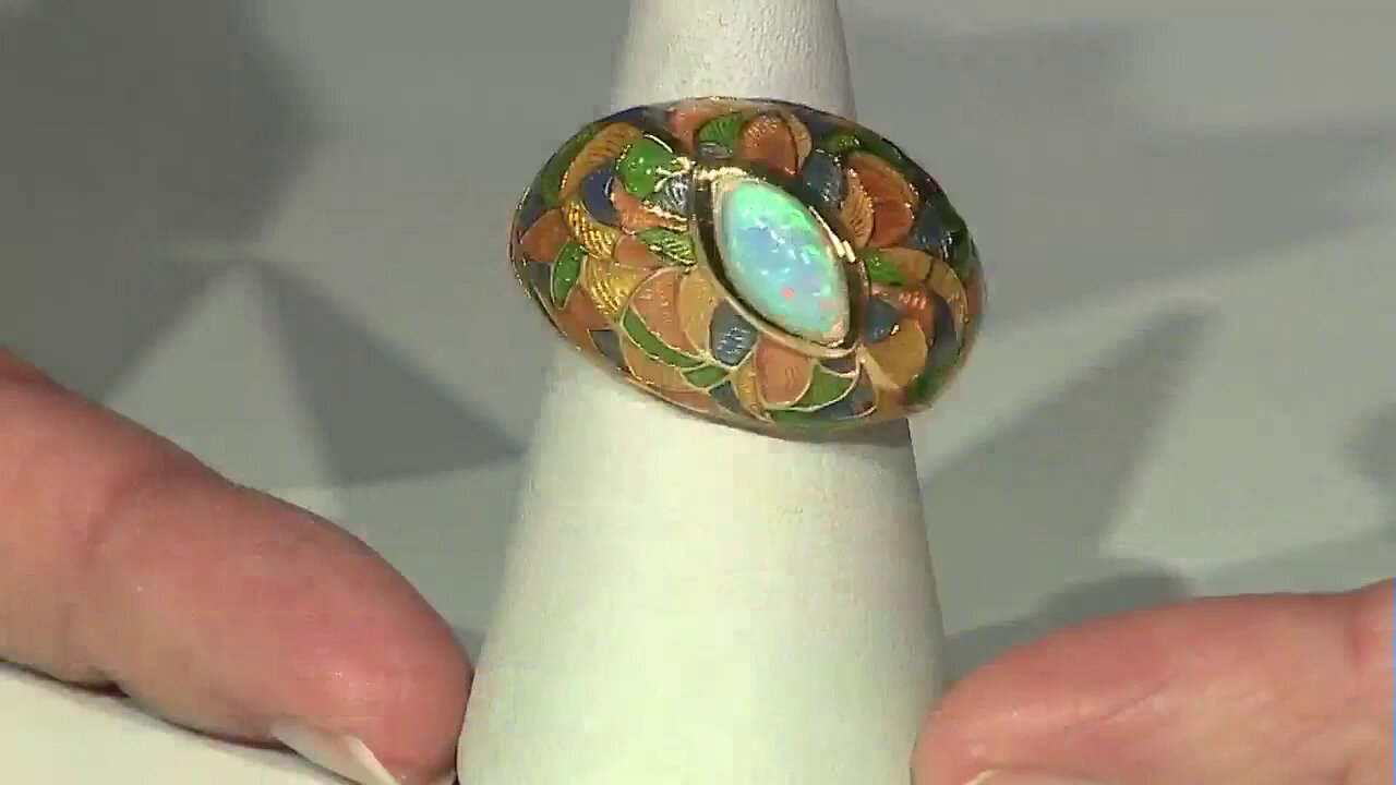 Video Zilveren ring met een Indische Granaat