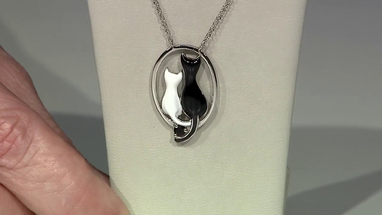 Video Zilveren halsketting met een zwarte onyx