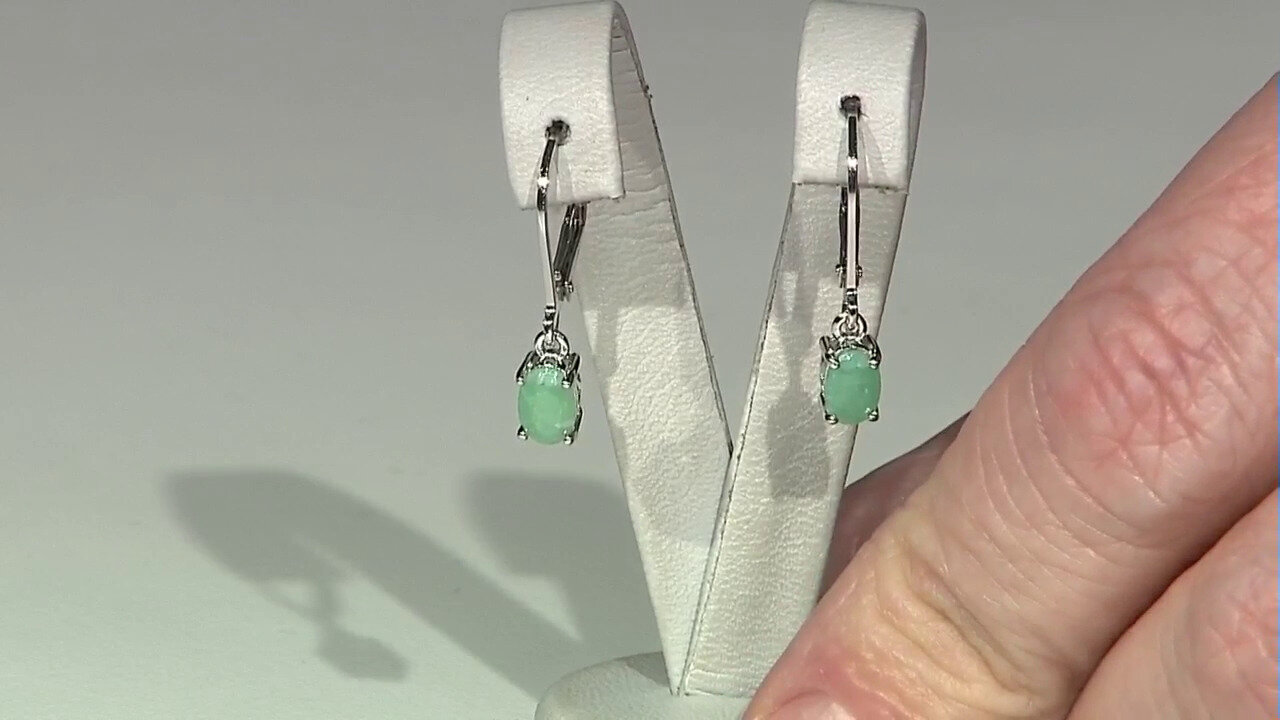 Video Zilveren oorbellen met Braziliaanse smaragden