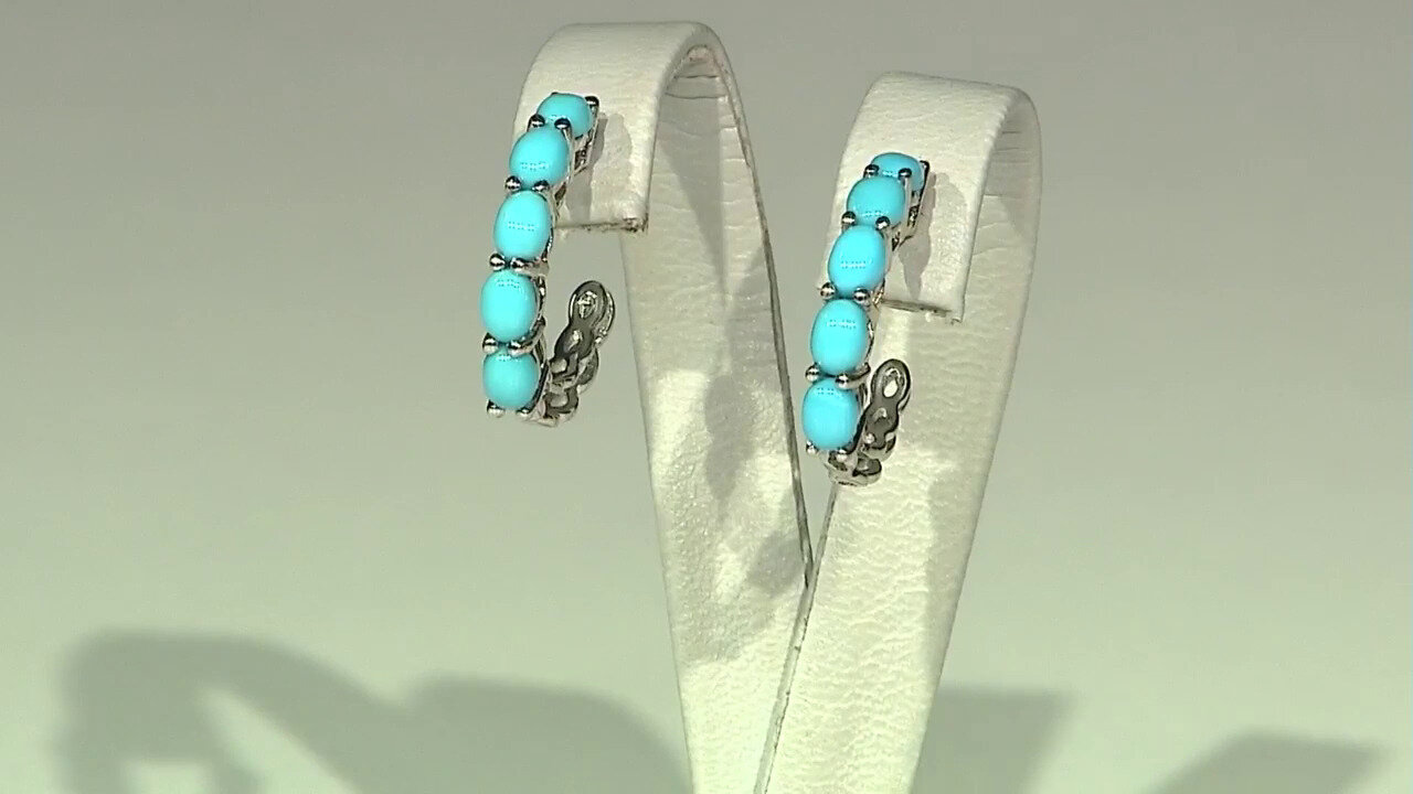 Video Sleeping Beauty Turquoise Silver Earrings