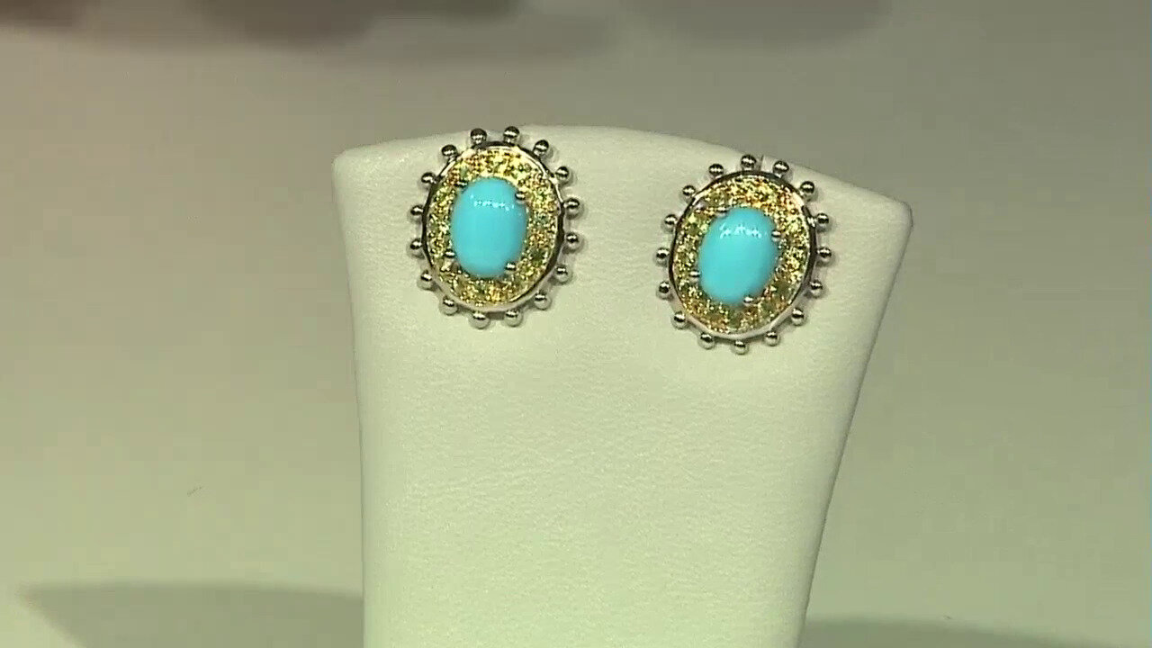 Video Sleeping Beauty Turquoise Silver Earrings (Dallas Prince Designs)