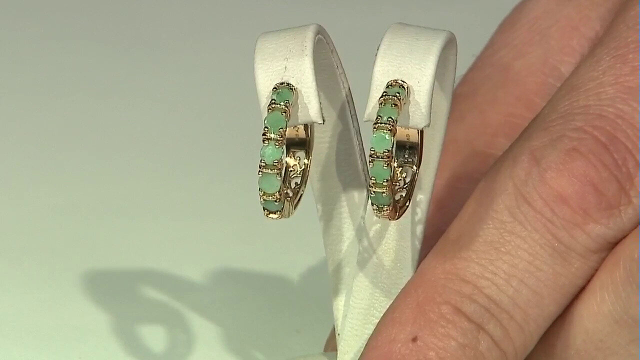 Video Zilveren oorbellen met Braziliaanse smaragden
