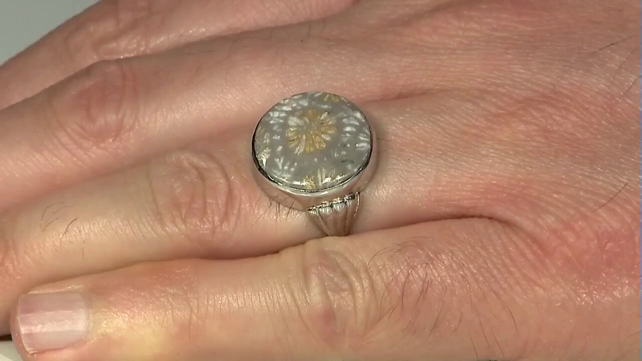 Video Zilveren ring met een Versteend koraal (Bali Barong)