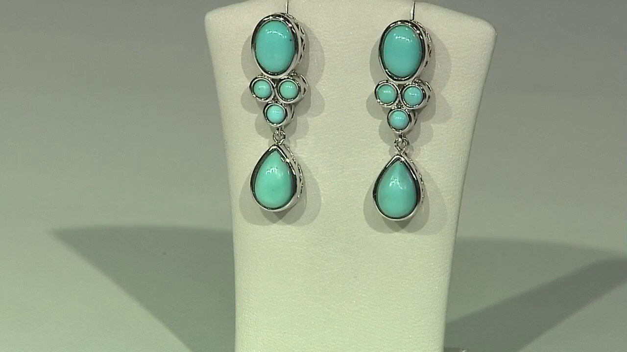 Video Campitos Turquoise Silver Earrings
