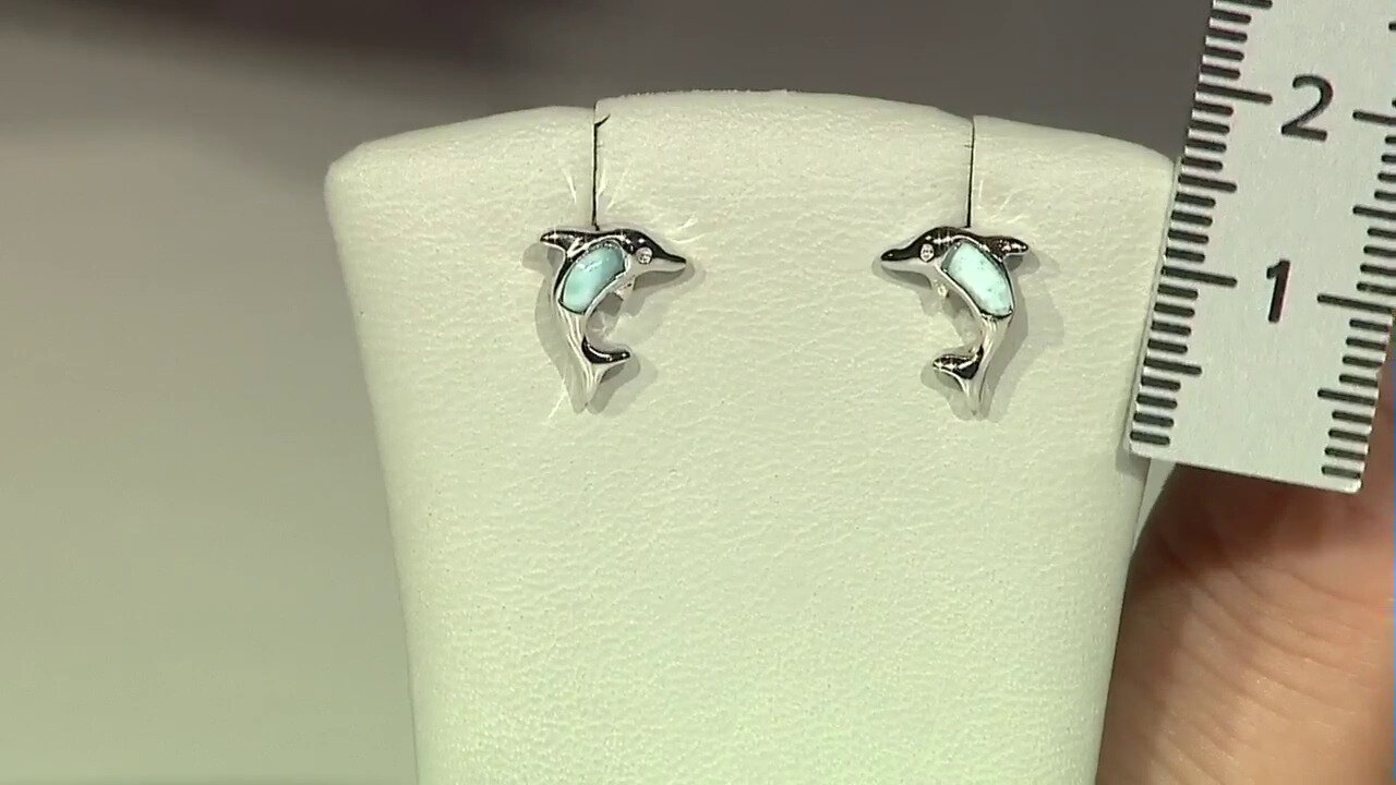 Video Boucles d'oreilles en argent et Larimar