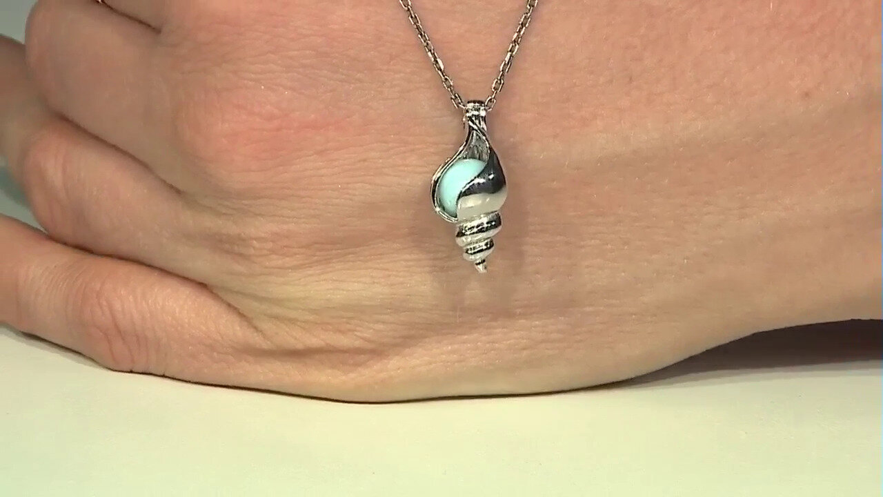 Video Zilveren hanger met een larimar