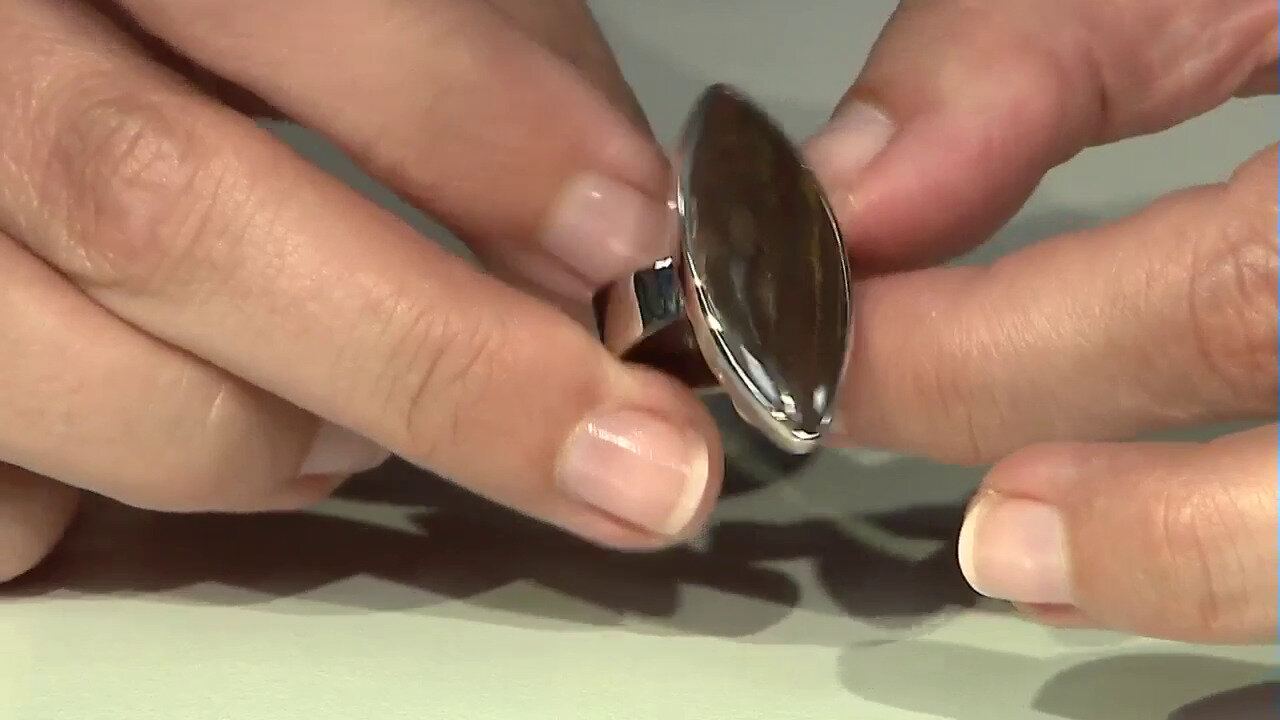 Video Petrified Wood Silver Ring