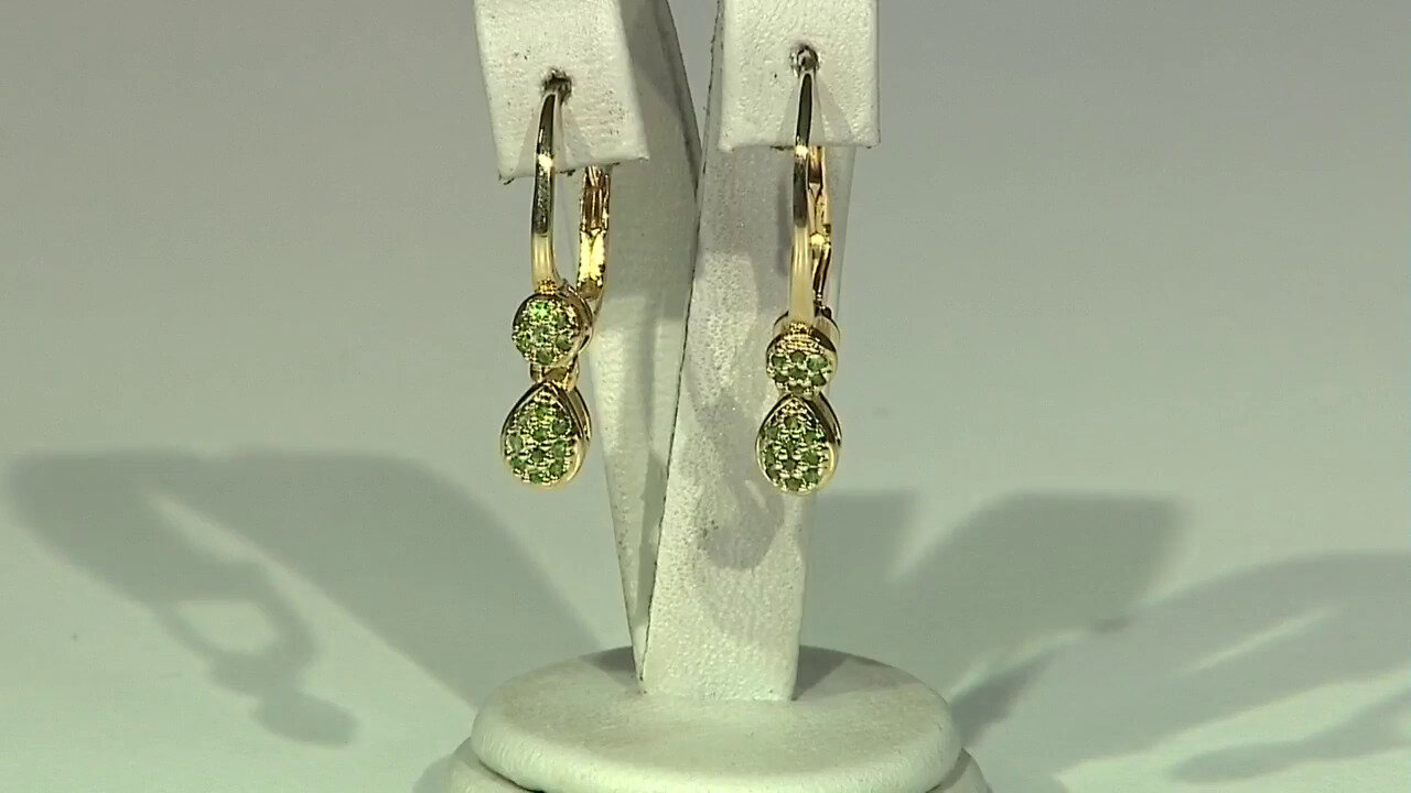 Video Boucles d'oreilles en argent et Grenat Tsavorite