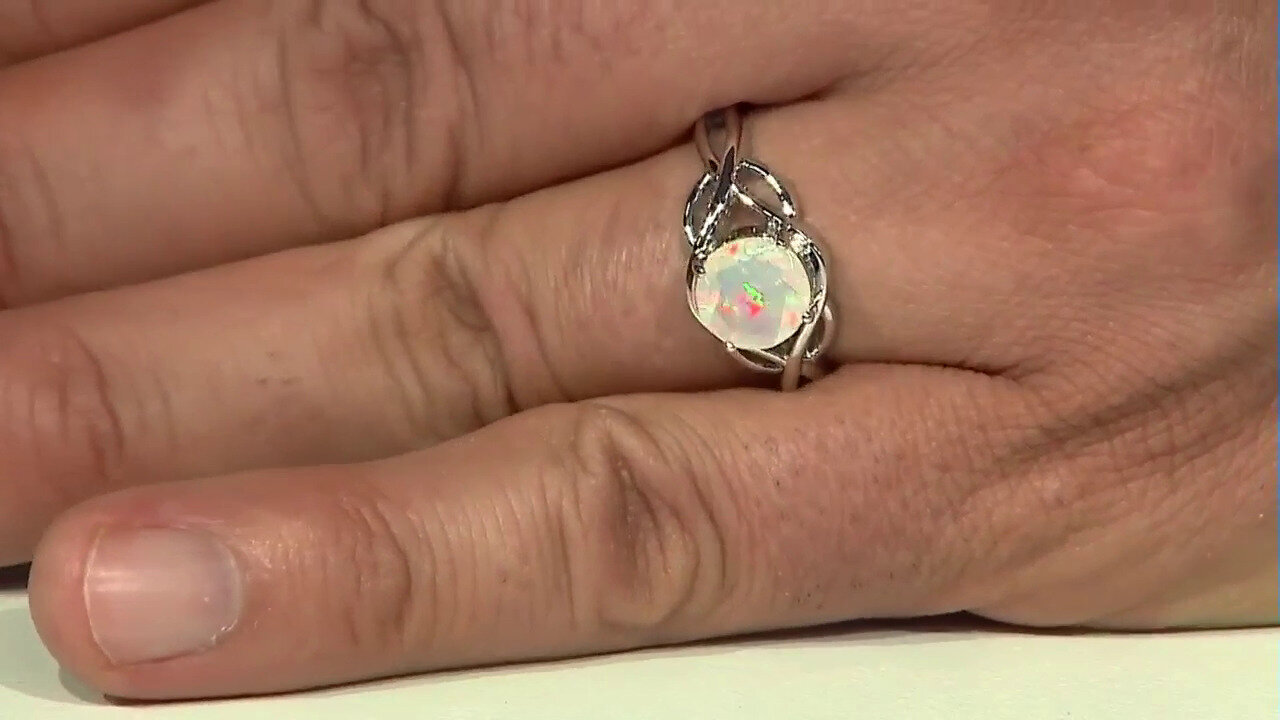 Letzte TV-Show ansehen