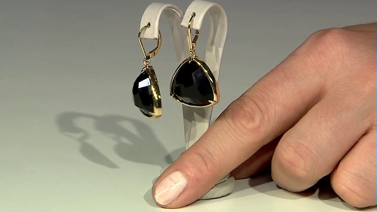 Video Black Agate Silver Earrings