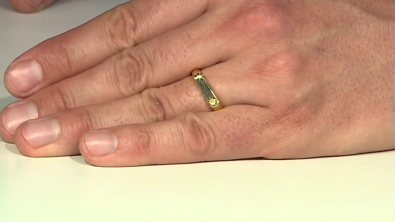 Video Anello in argento con Diamante I3 (J)