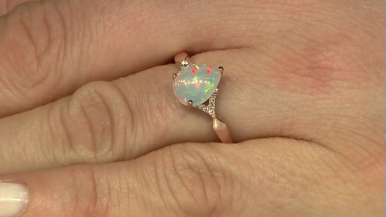 Letzte TV-Show ansehen