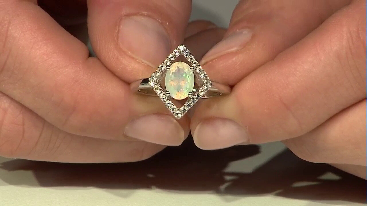 Letzte TV-Show ansehen