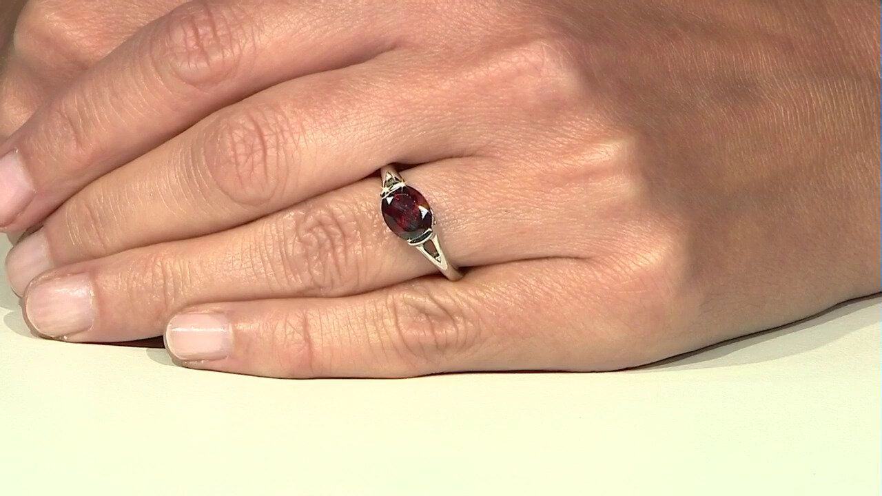 Ver última TV oferta