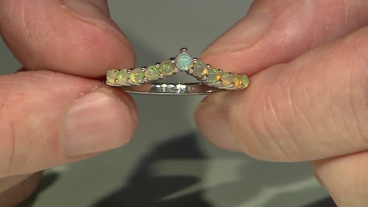 Letzte TV-Show ansehen