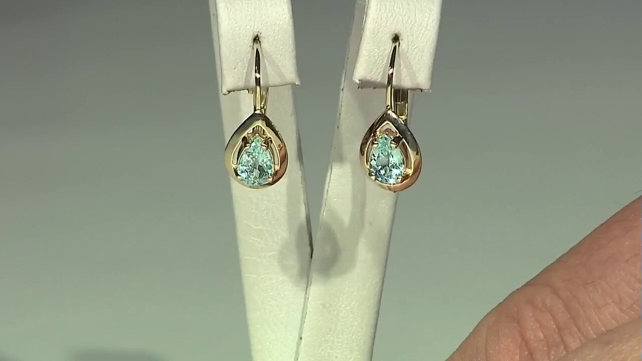 Video 9K Paraiba Tourmaline Gold Earrings (CUSTODANA)