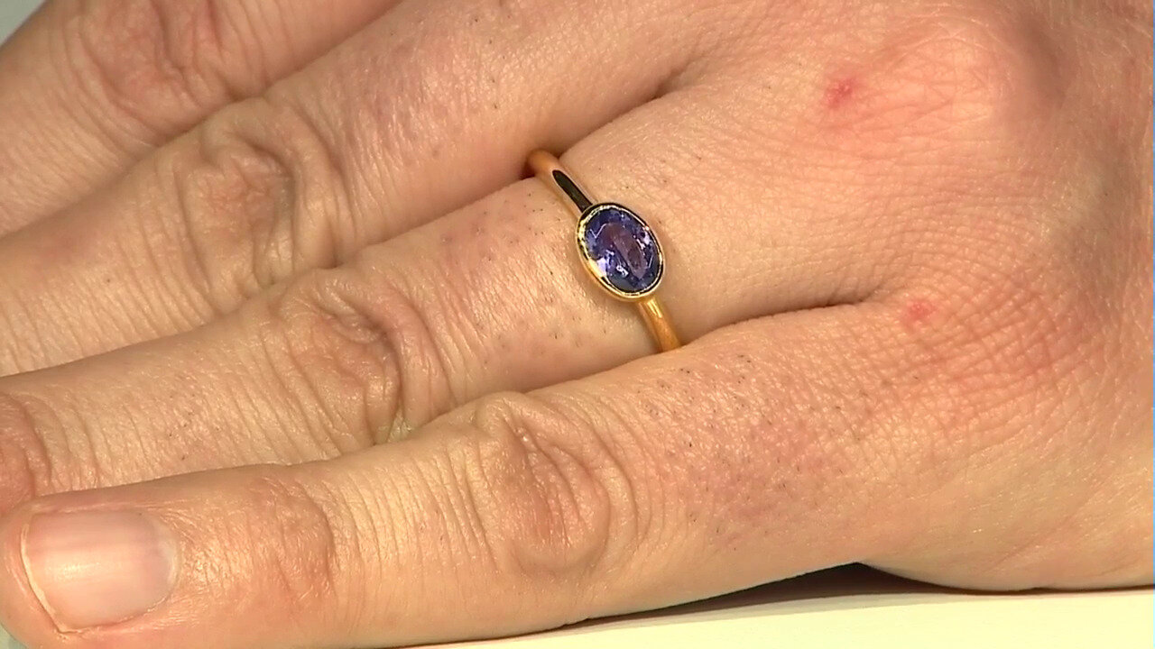 Letzte TV-Show ansehen