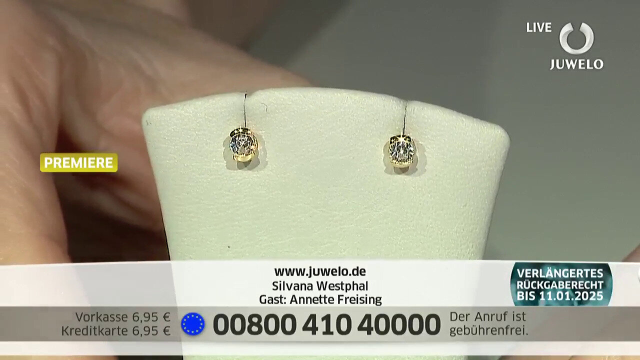 Video Zircon Silver Earrings